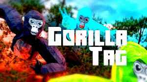 gorilla corp 2.0