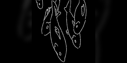 Cover image for FISHBAIT