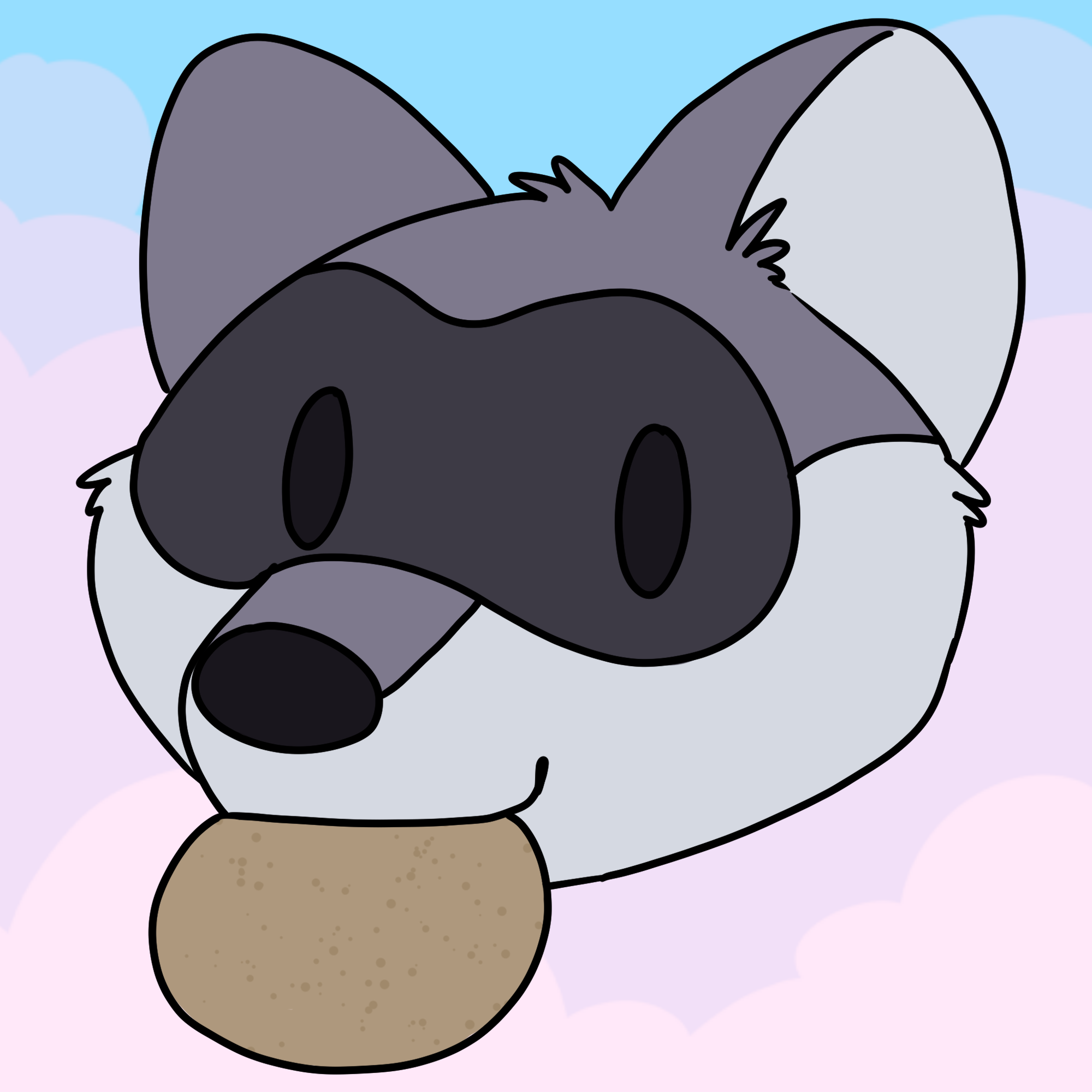 Dreamy Racoon