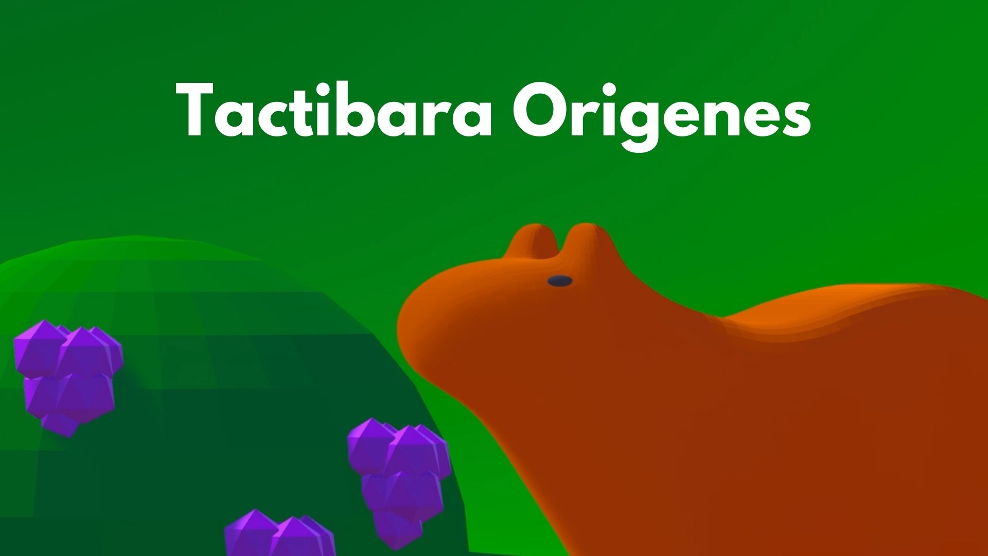 Cover image for Tactibara Origenes