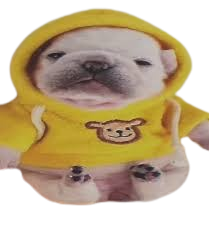 Pibble Clicker