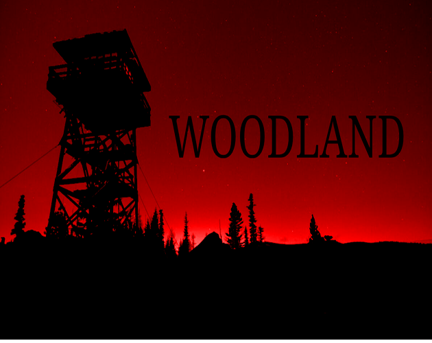 Cover image for WOODLAND