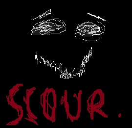 SCOUR-WIP