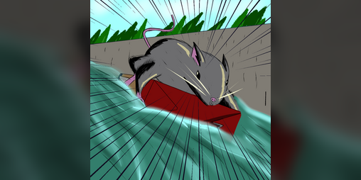 Cover image for Acequia Surfers