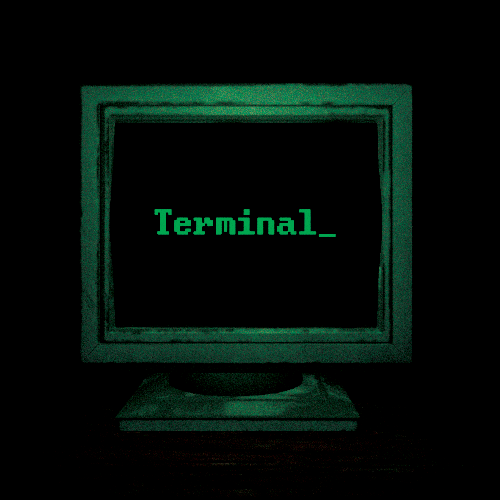 Cover image for Terminal