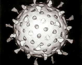Spreading Virus