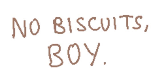 No Biscuits, Boy!