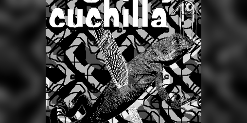 Cover image for Lagartija Cuchilla Nº19