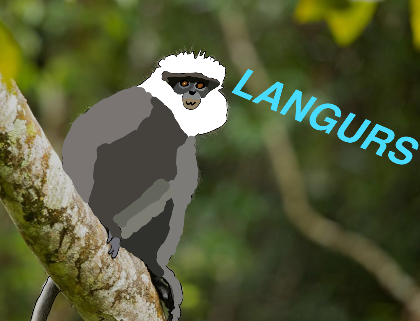LANGURS (beta)