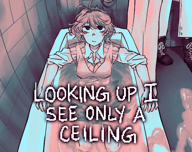Cover image for Looking Up I See Only A Ceiling