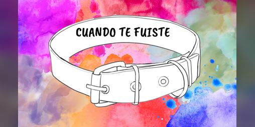 Cover image for Cuando te Fuiste