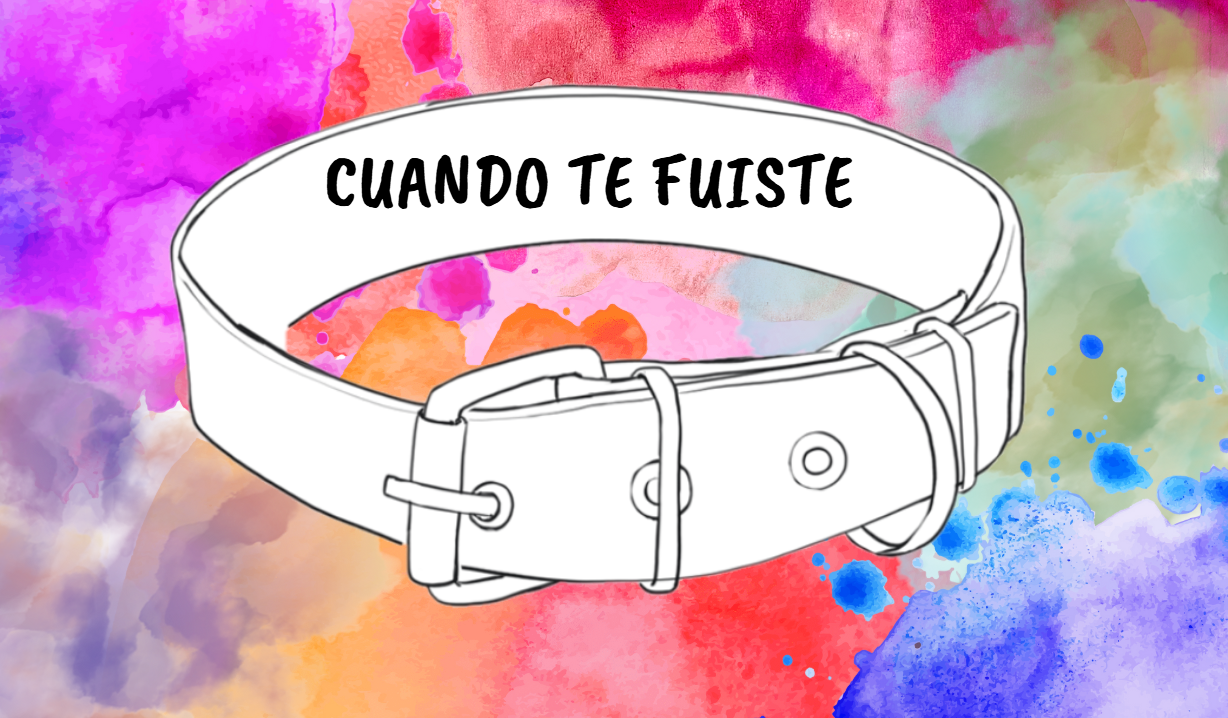 Cover image for Cuando te Fuiste
