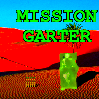 Cover image for Mission Garter