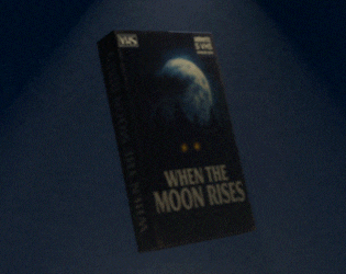 Cover image for WHEN THE MOON RISES