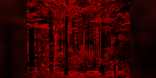 Cover image for 1996 (outdated)