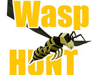 Wasp Hunt VR