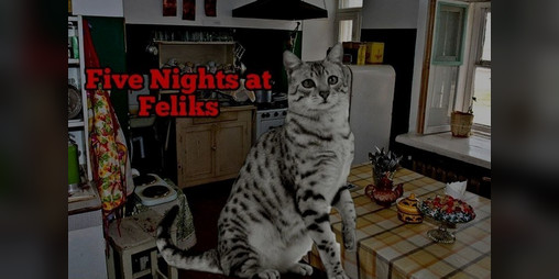 Cover image for Five Night At Feliks