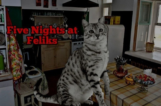 Five Night At Feliks cover