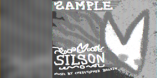 Cover image for Silson
