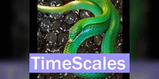 Cover image for TimeScales