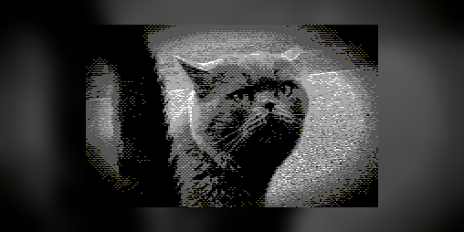 Cover image for CityCat : Prowl V012