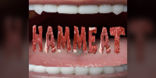Cover image for Hammeat