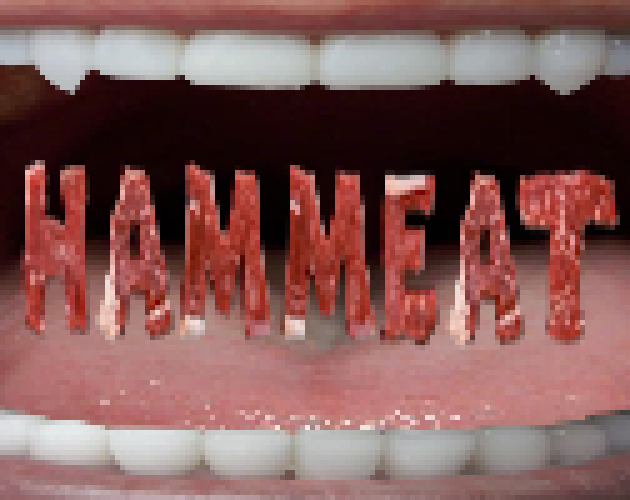 Cover image for Hammeat