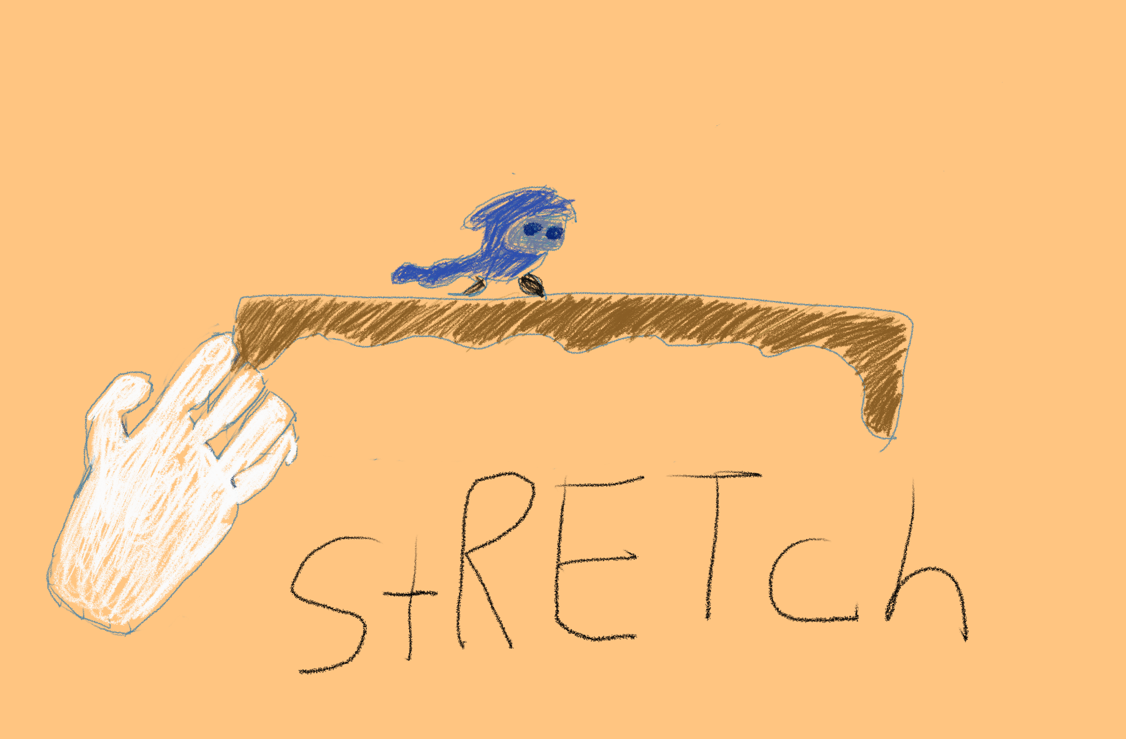 Cover image for Stretch