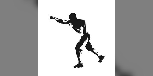 Cover image for The Art of MMA