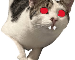 EVOLLIE ATTACK