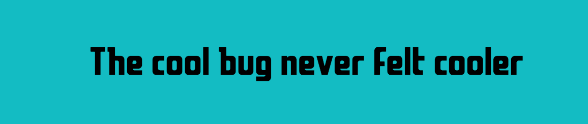 Cool Bug