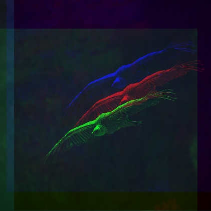 Cover image for Vuelo Caleidoscopio