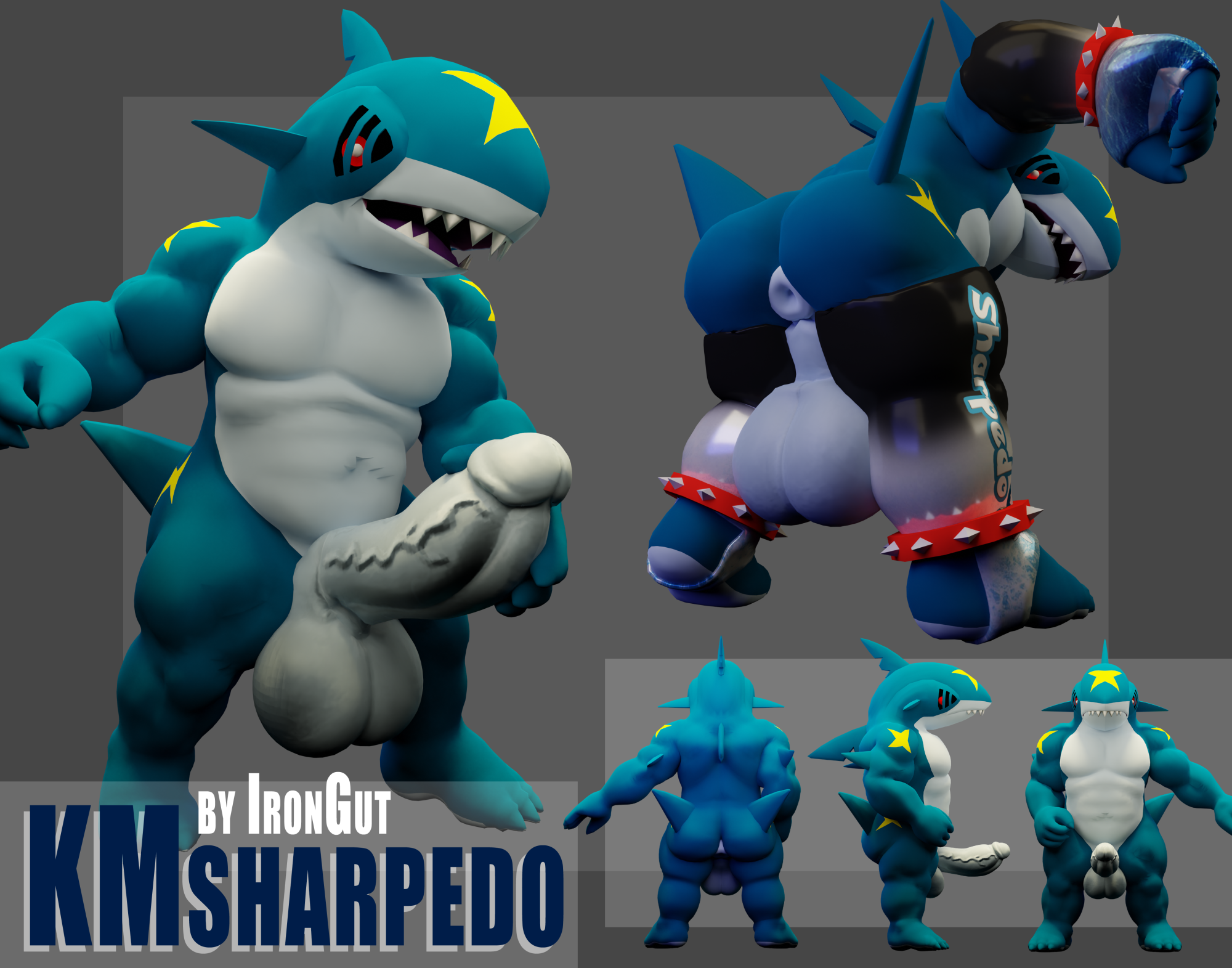 KM Sharpedo
