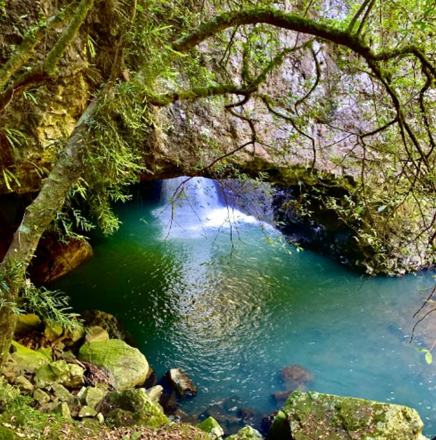 Cover image for Río Secreto