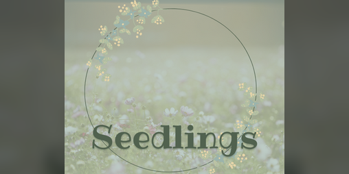 Cover image for Seedlings