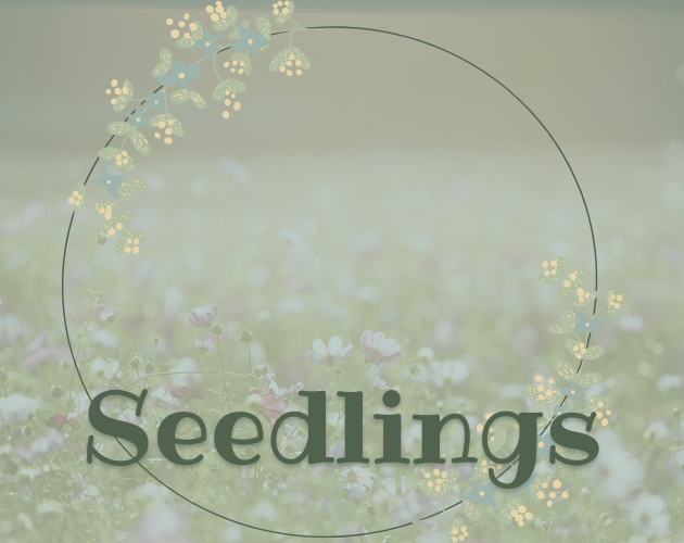 Cover image for Seedlings