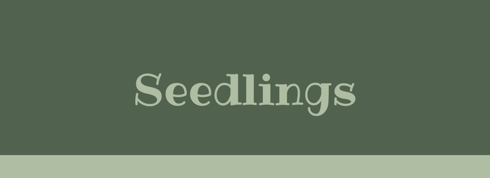 Seedlings