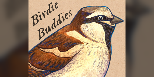 Cover image for Birdie Buddies (Sticker Sheet)