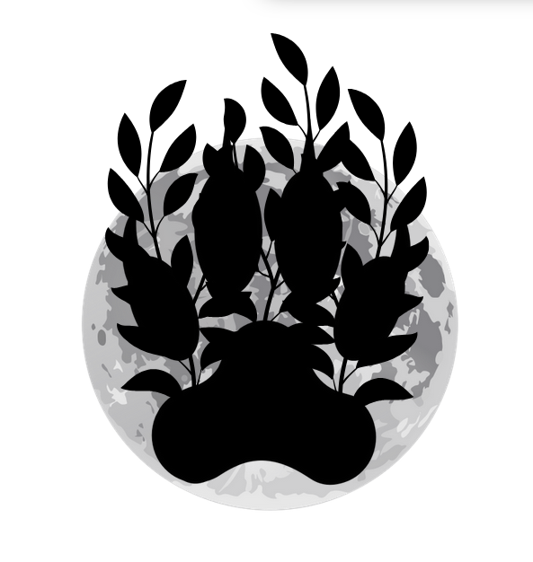 Cover image for Зверобой