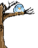 Sleepy Birdy