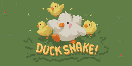 Cover image for Duck Snake