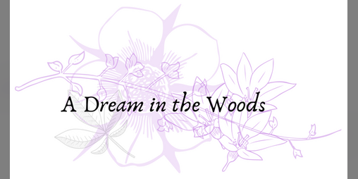 Cover image for A Dream in the Woods