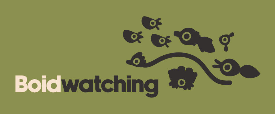 Boidwatching