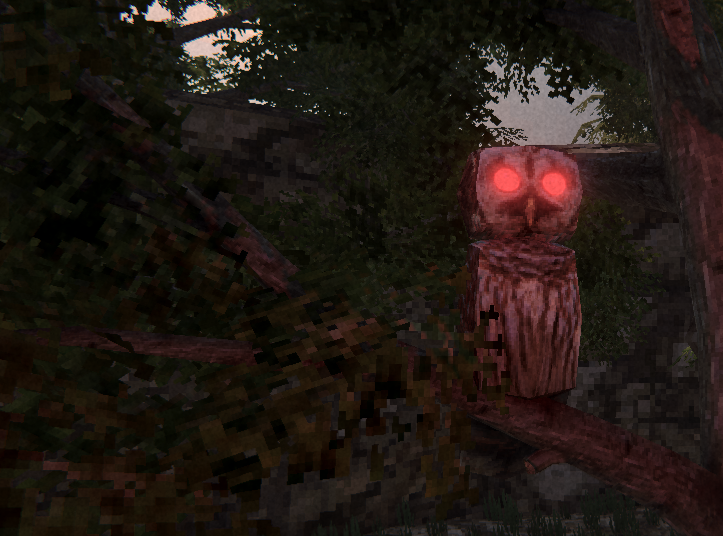 Cover image for The Forest's Favor