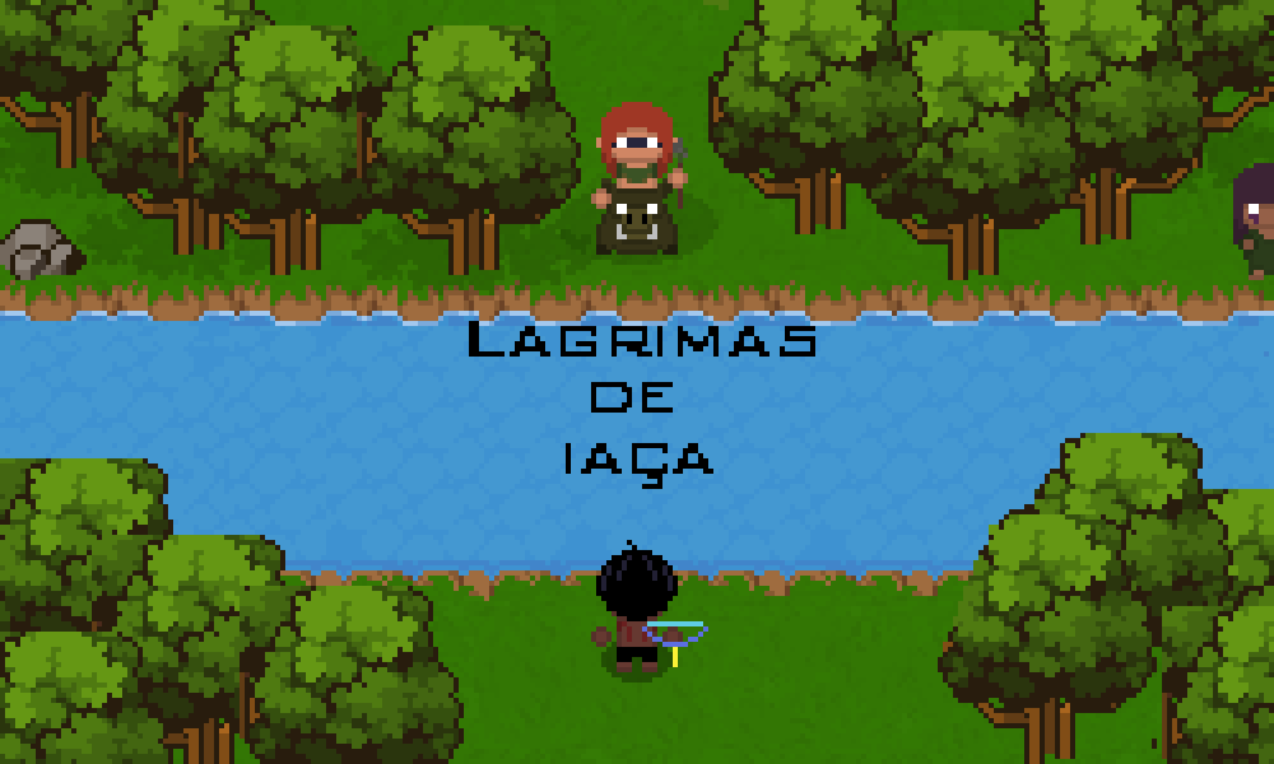 Cover image for Lagrimas de Iaça