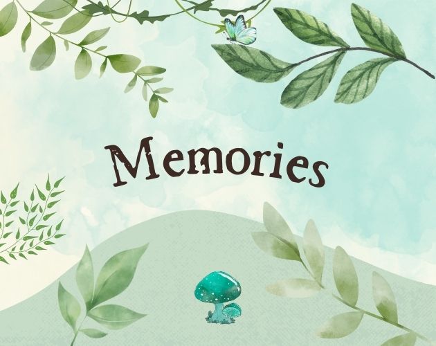 Play Memories - Recommended Game