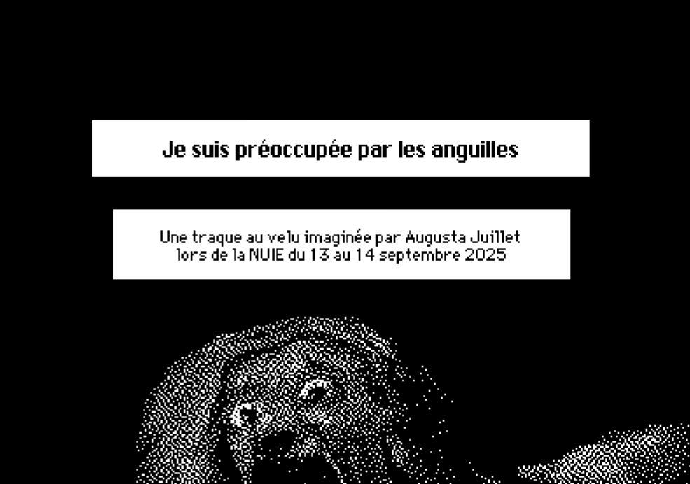 Cover image for Je suis préoccupée par les anguilles