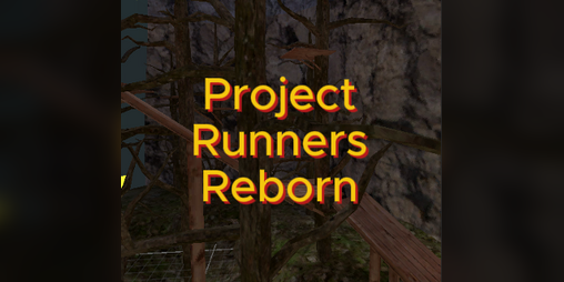Cover image for Project Runners