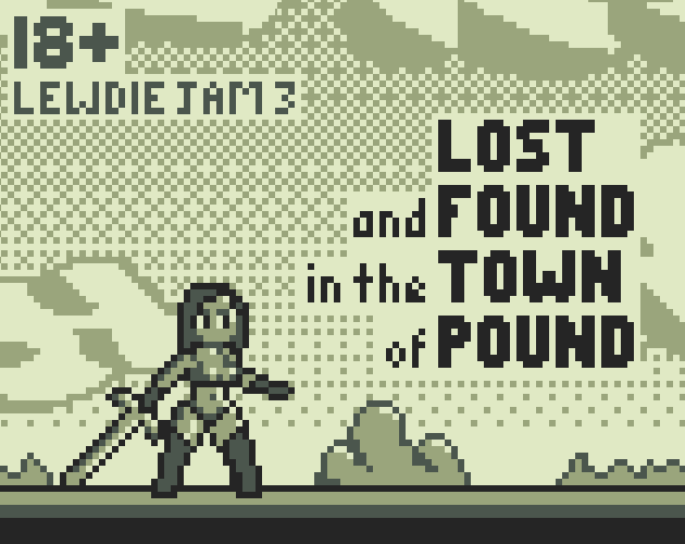 Cover image for Lost and Found in the Town of Pound