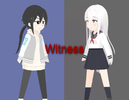 Cover image for Witness